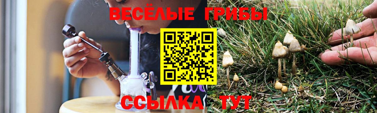 Псилоцибиновые грибы Magic Shrooms Лысьва